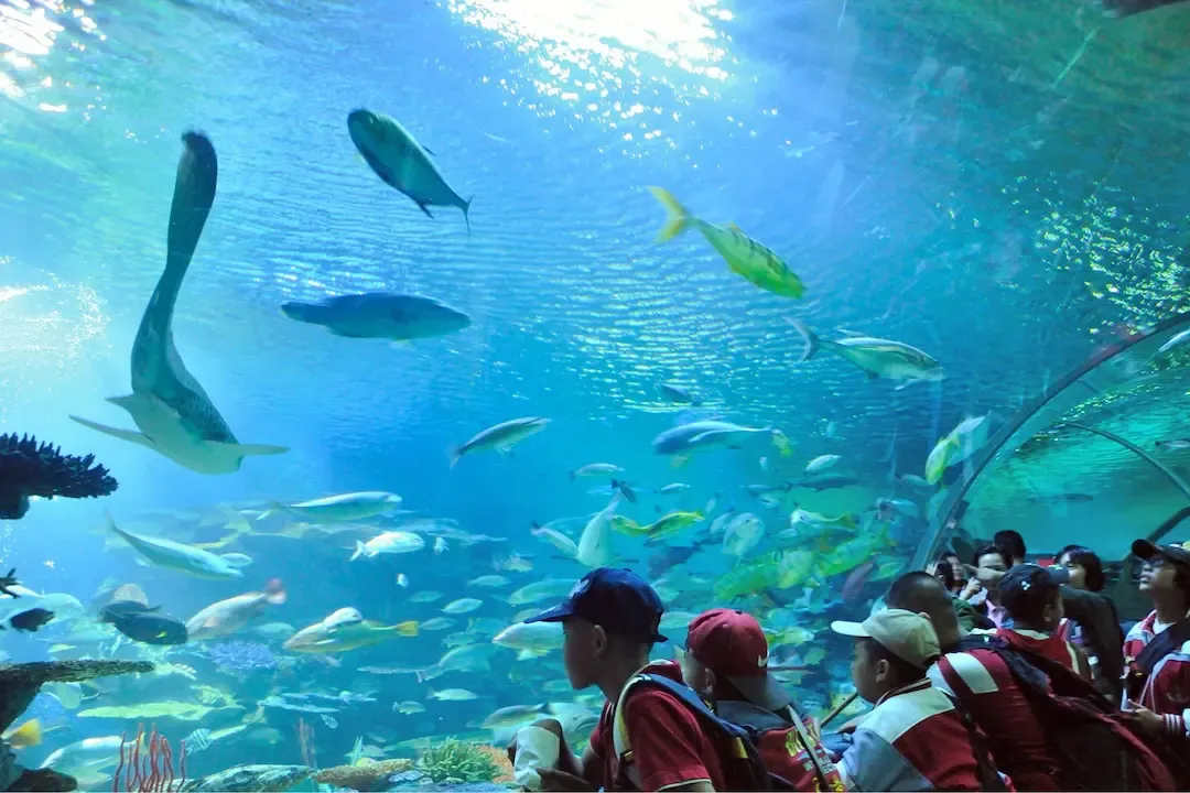 Chiang Mai Zoo & Aquarium