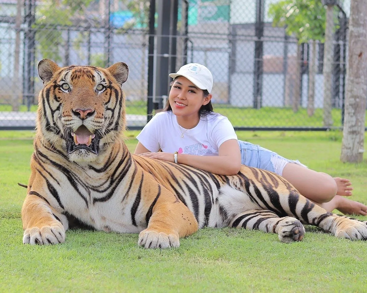 Tiger Kingdom