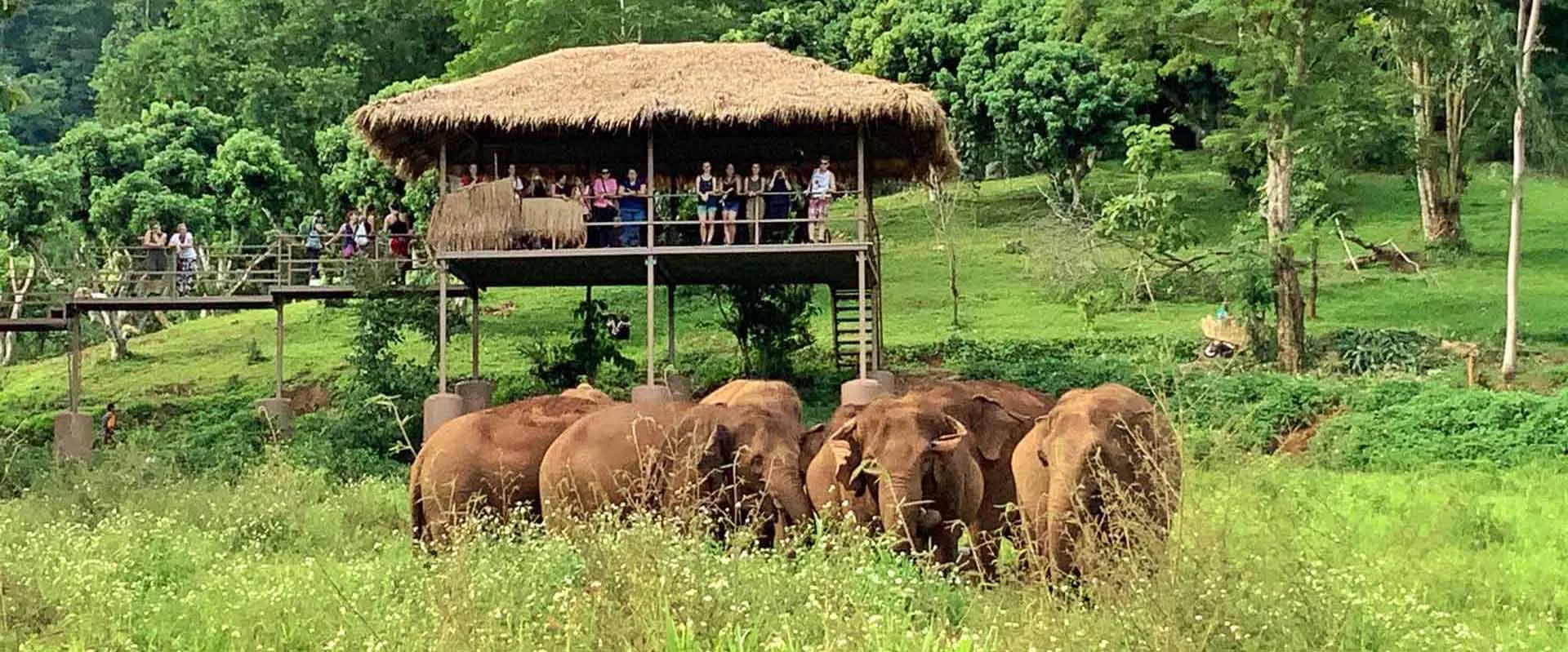 Elephant Nature Park